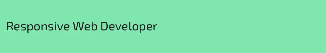Responsive Web Developer